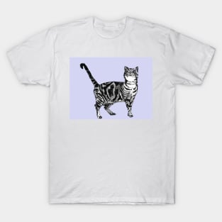 Tabby Cat Art Pale Lavender Purple Drawing T-Shirt